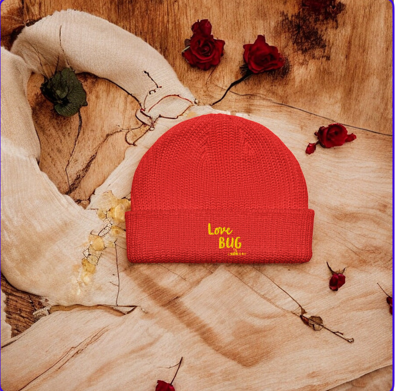 Halo Beanie