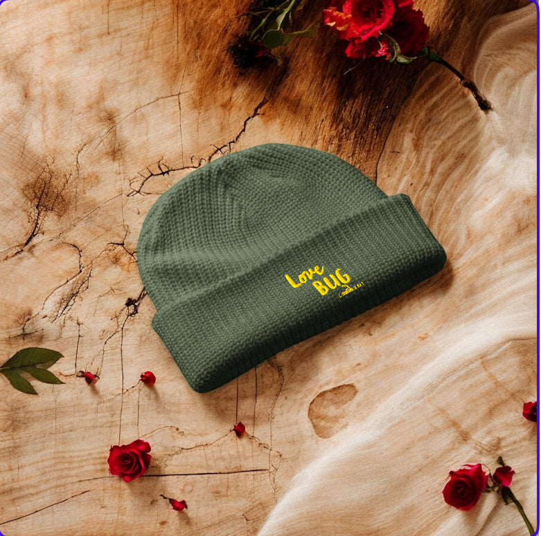 Halo Beanie
