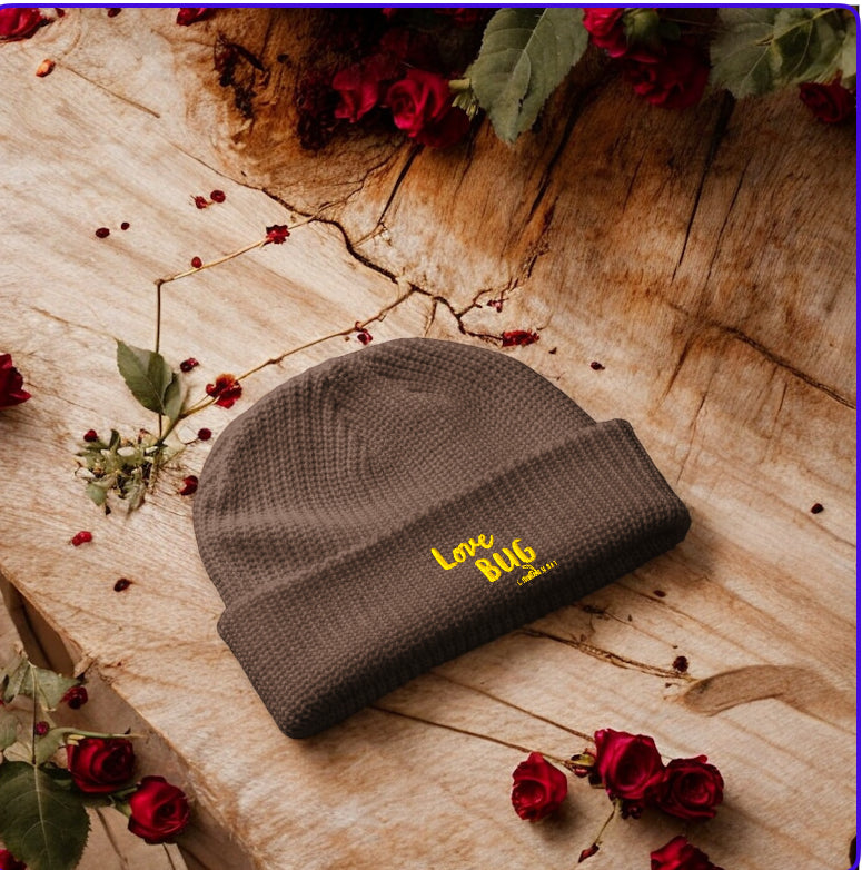 Halo Beanie