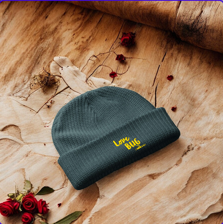 Halo Beanie