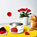 Tummy Treasure Pet Bowl