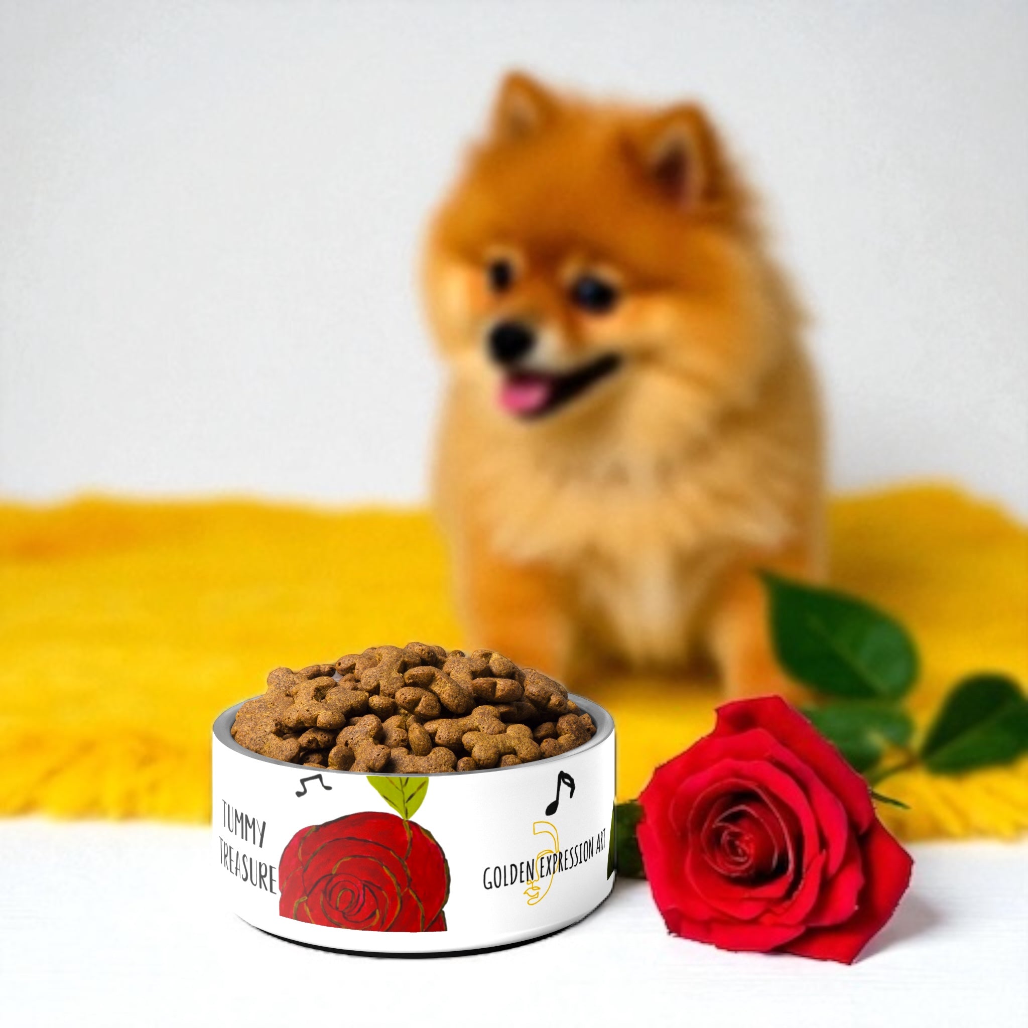 Tummy Treasure Pet Bowl