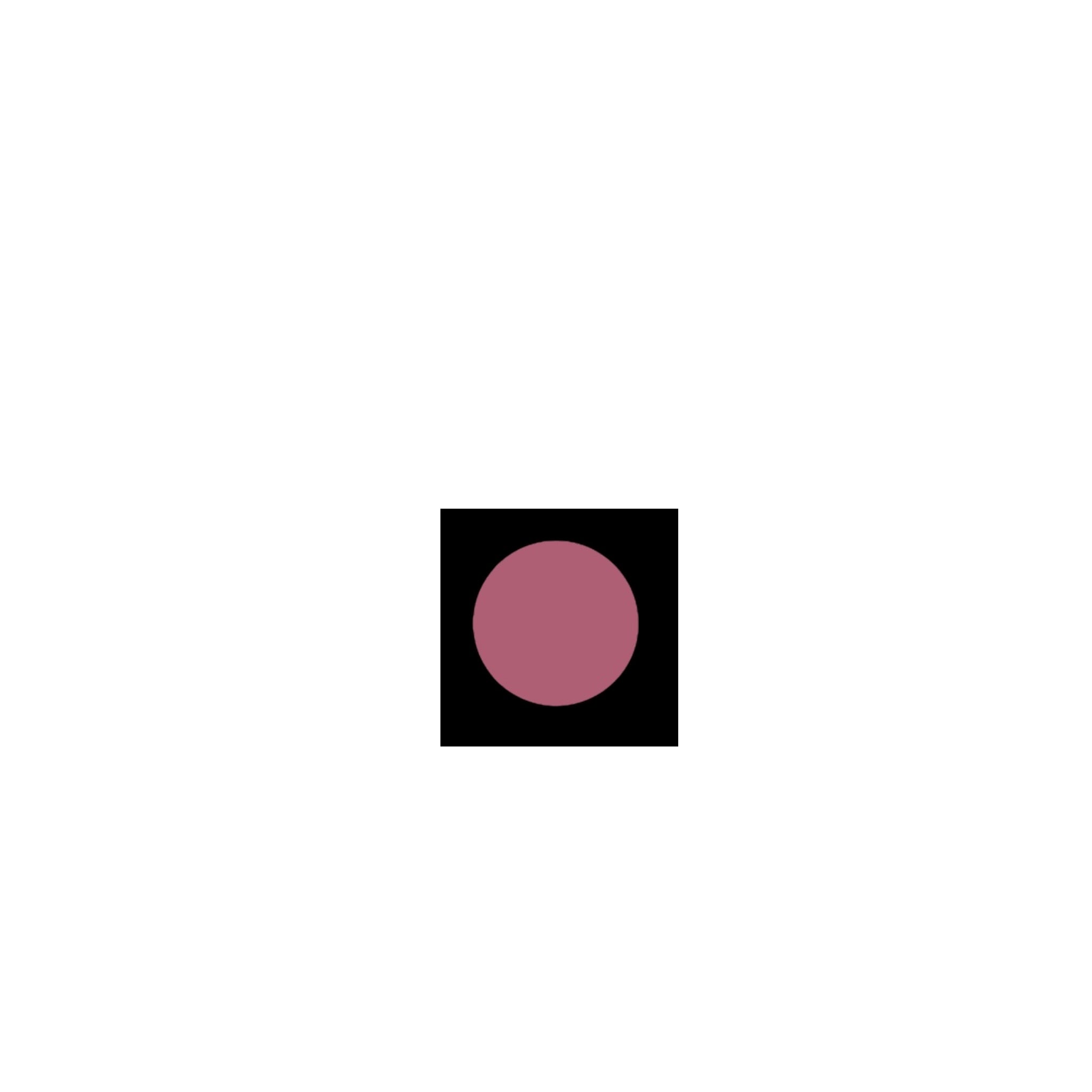 Vinyl Lip Lacquers  (shop all colors)