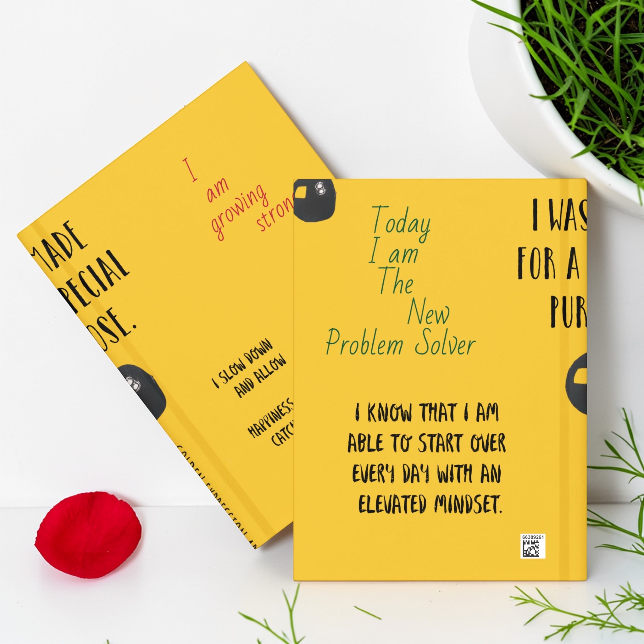 The Sunny Mind Journal