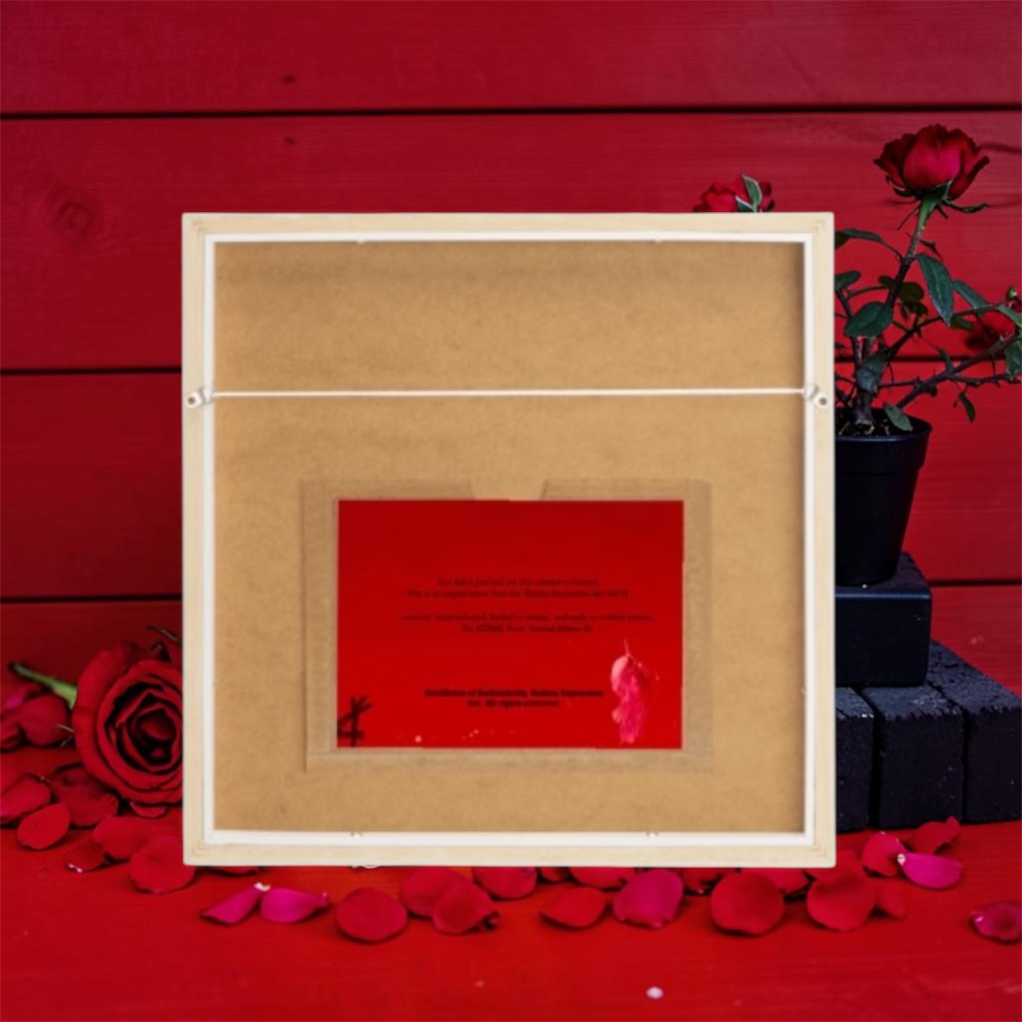 Vol IV — The ICONIC Wall Framed Art Print White Edition — back with Certificate of Authenticity