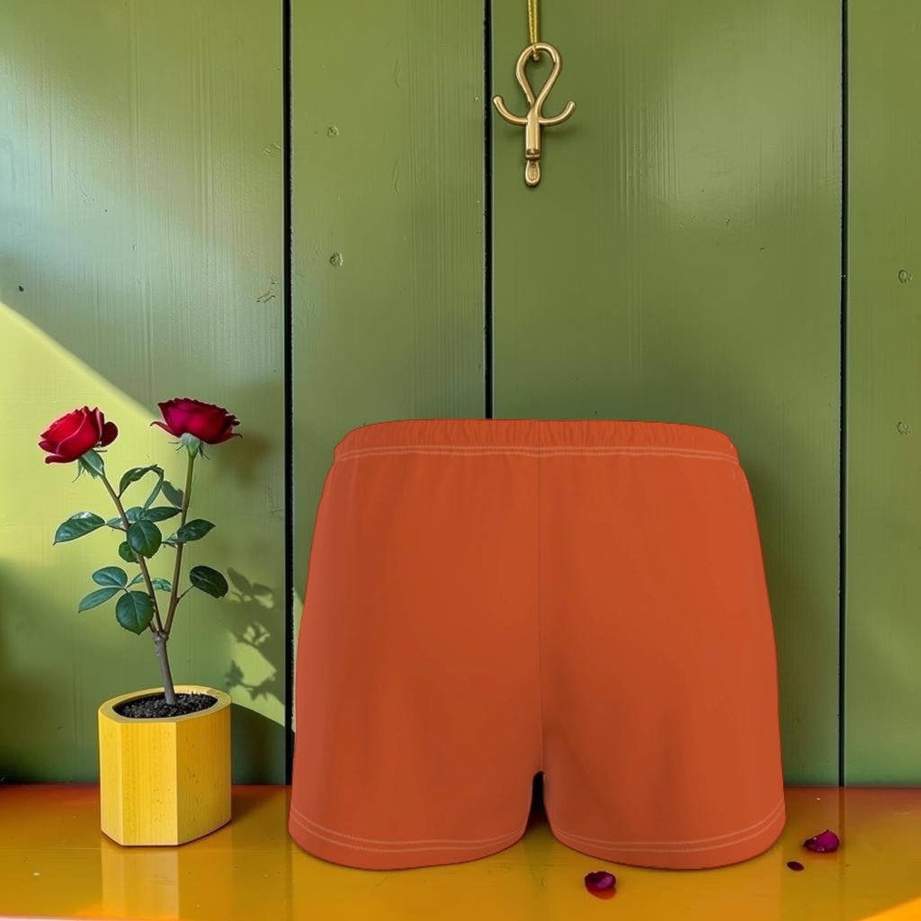 Vol I — The Crisp Short in Terracotta, front view
